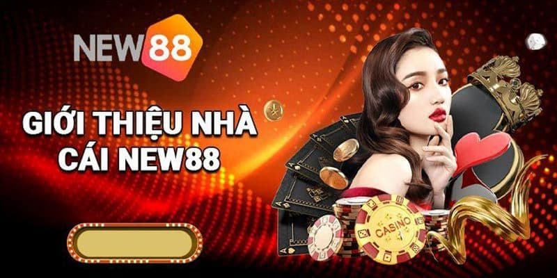 Thông tin giới thiệu chi tiết về thương hiệu New88